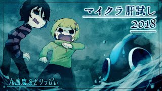 マイクラ肝試し2018 印洲升村を覆う影 　#END