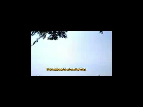 Farming in my village! #village #farming #farmers #crops #trees #greenery #sudeshna'ssphere