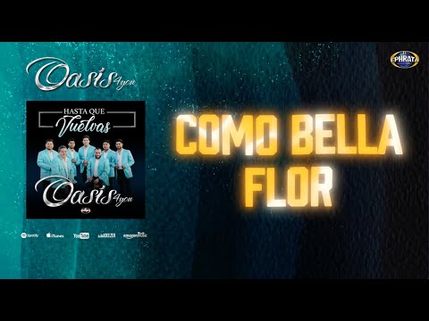 Oasis 4you - Como Bella Flor (Video Letras)