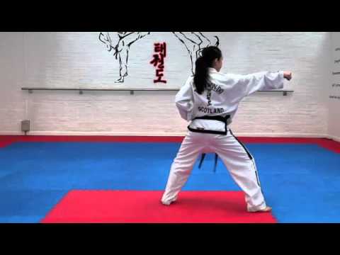 Won Hyo Tul and basic movements for grading to 5th kup