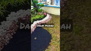 Download lagu pembuatan taman halaman depan rumah minimalis mp3