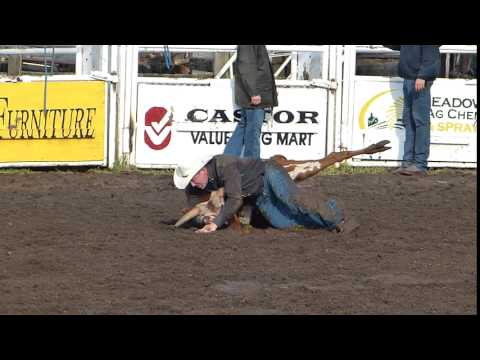 Stier-Ringen beim Rodeo in Castor, Aberta, Kanada, 25. Juni 2016