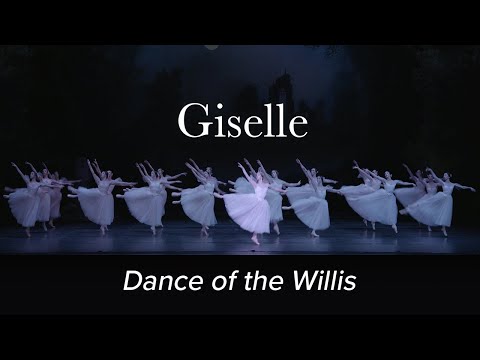 Dance of the Willis – GISELLE Adam – Polish National Ballet