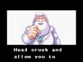 Megaman Xtreme Storm Eagle