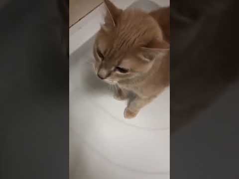 Когда научишься сам воду открывать?
