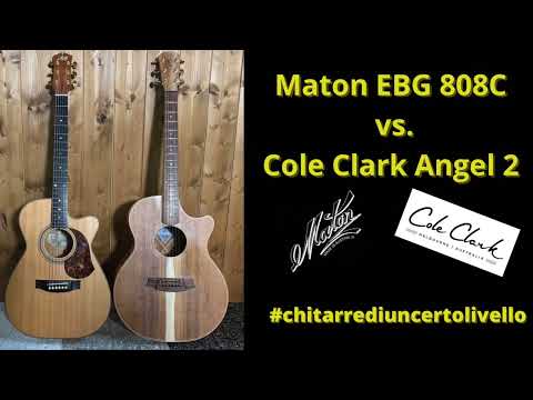 Maton vs  Cole Clark which one has the best pickup system? #chitarrediuncertolivello