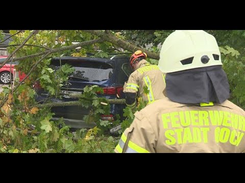 Baumteile im Dauerregen auf PKW in Goch