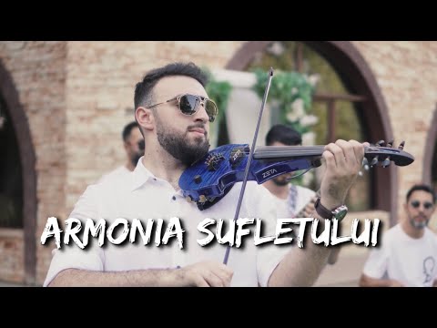 Vioara Albastra - Armonia Sufletului (Official Music Video)