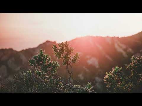 INDIE POP + BEDROOM POP TYPE BEAT - "CHERISHED"