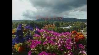 Fall In Love, Lady Love - Dramatics