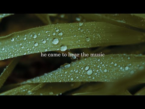 Rain by Charles Bukowski