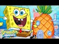45 MINUTES In SpongeBob S Pineapple SpongeBobOfficial