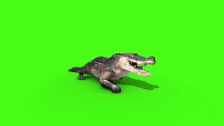 Download lagu mentahan greenscreen buaya crocodile mp3