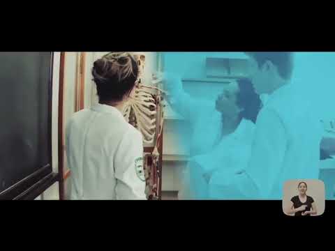 Unioeste Institucional