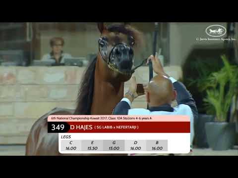 MNAWER ATHBAH - National Championship Kuwait 2017