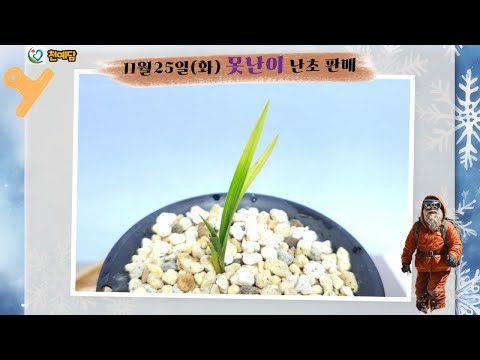유튜브 썸네일