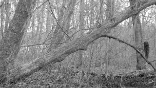 Shining   Livets Andhallplats Full Album