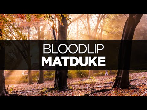 [LYRICS] Matduke - Bloodlip (ft. Veela)