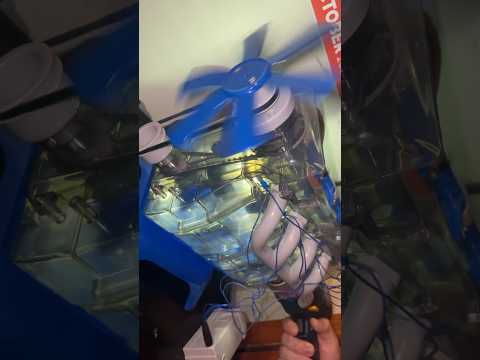 4-Cylinder Model Engine RPM Test