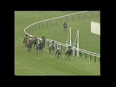 2005 Royal & Sun Alliance Chase - Cheltenham Festival