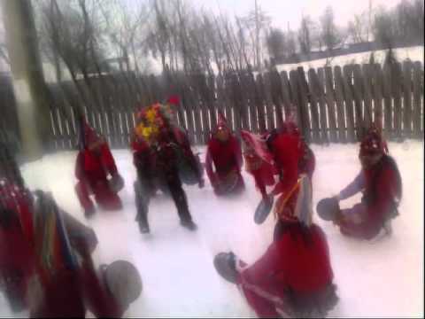 CERBUL DE LA ULMI BELCESTI IASI 2011