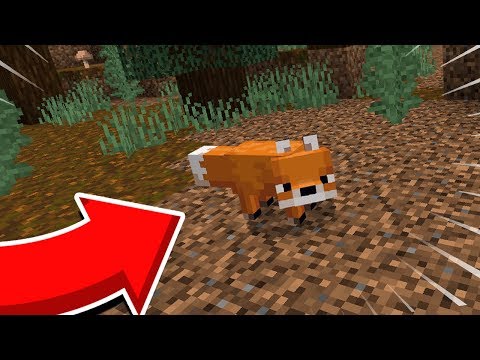 🔥SHOCKING: Secret Fox Spawning Trick in Minecraft 🦊