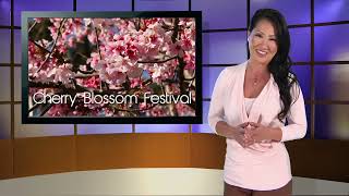 Ep.3 Seg.2 Cherry Blossom Festival with Timmy T