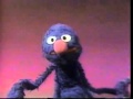 Sesame Street Grover Observes Us