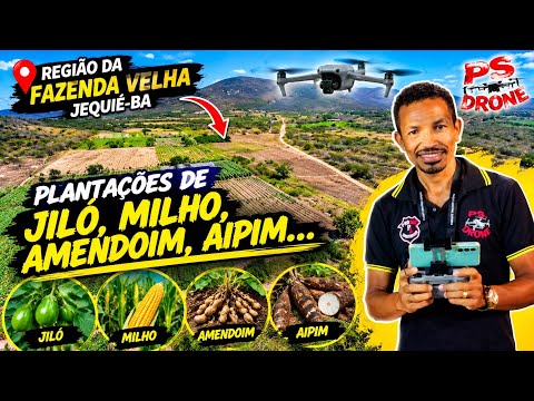 Sobrevoamos algumas plantações na fazenda velha em Jequie-BA (voo 908)