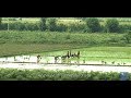 Agriculture Rice Cultivation In India