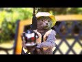 NEW Aarons Animals Best Compilation F NEW Aarons Animals Best Compilation F