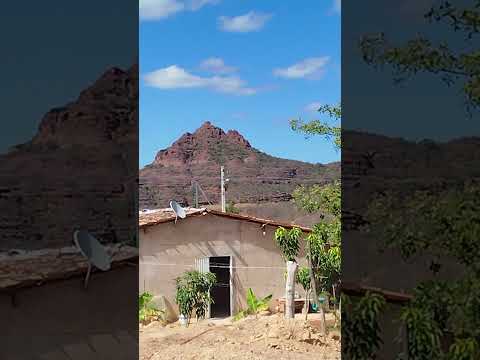 palmeira dó Piauí