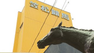 [馬娘] 笠松賽馬場採訪