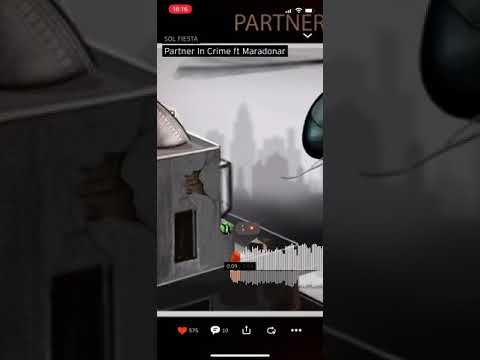 Sol Fiesta - Partner in Crime