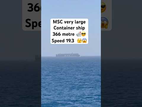 Thumbnail for MSC very large Container Ship 366 metre 🛳️😎 | Speed 19.3 Knots #MSC #merchantnavy #navy #shiplife