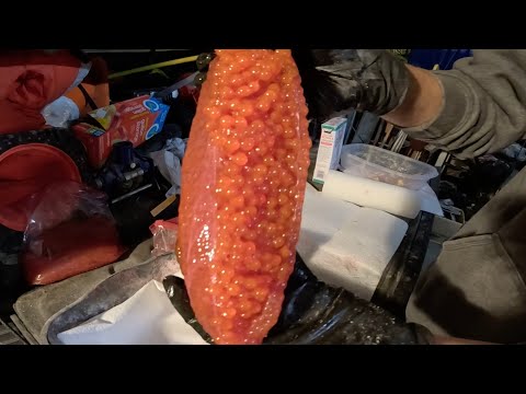How To Cure Salmon Eggs
