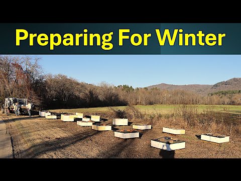 Preparing Bee Colonies For Winter / 3 Crucial Components