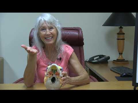 Orthodontia and CranioSacral Therapy