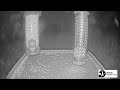 LIVE Birdfeeder camera in Devon - Birds and woodland wildlife