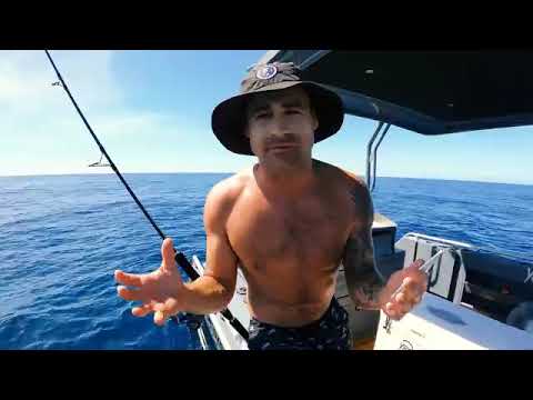 Deep Sea Fishing Challenge JIG VS BAIT With My Brother Tiger Shark & Dead Whale   Ep 289 p1