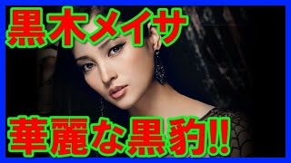 【華麗な黒豹】セクシー黒木メイサの画像を高画質で見る！