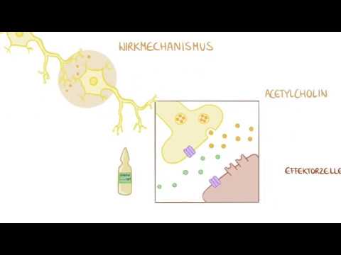 Medikamente im Rettungsdienst - Atropin