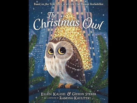 The Christmas Owl by Ellen Kalish & Gideon Sterer - Illustrated by Ramona Kaulitzki