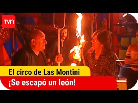 ¡Se escapó un león! | El circo de Las Montini - T1E38