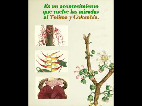 Mariquita llega a Madrid. 🌿