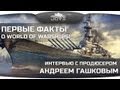 Первые факты о World Of Warships. Интервью с Андреем Гашковым. 