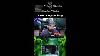Snake Q&A