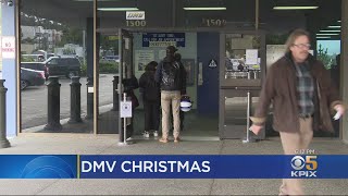 Californians Celebrate Shorter DMV Wait Times During Holidays