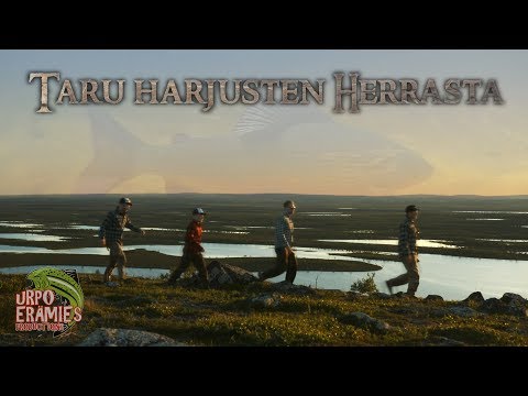 Taru harjusten herrasta | The Lord of the Graylings | Kaldoaivin erämaa 4
