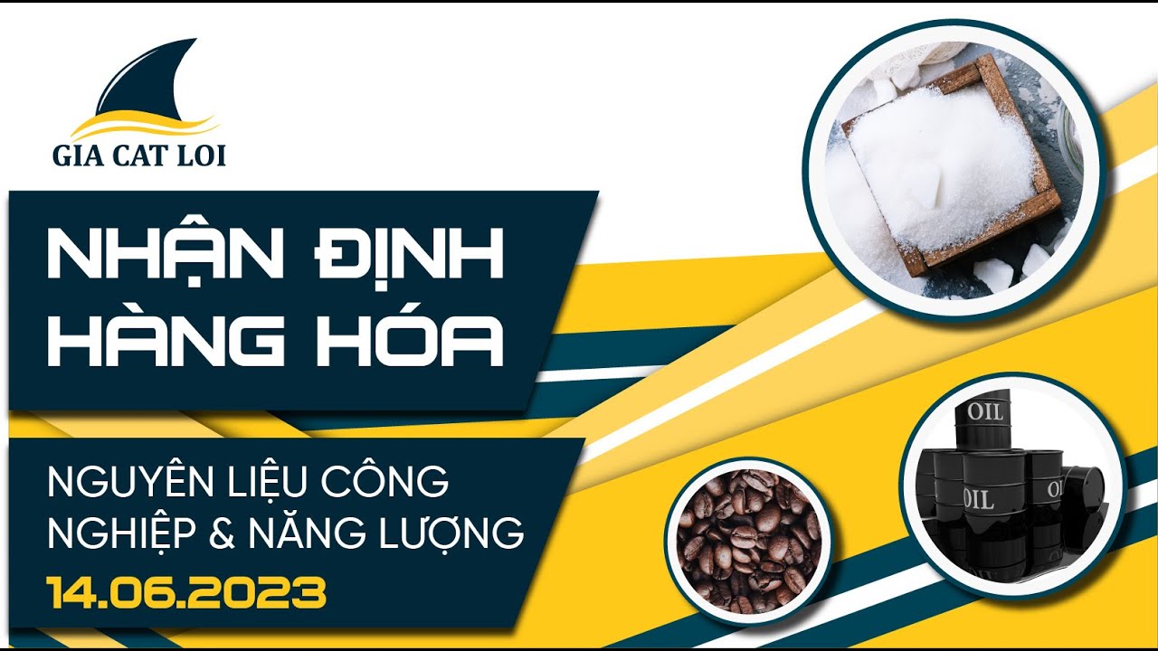 Nhận Định Thị Trường Năng Lượng & Nguyên Liệu Công Nghiệp Ngày 14/06/2023